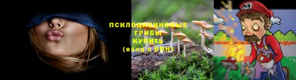 альфа пвп Заволжье