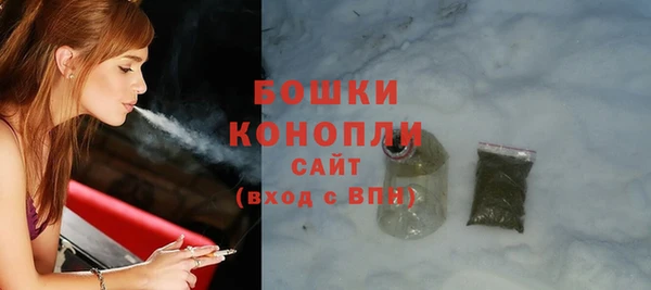 прущие грибы Зеленодольск