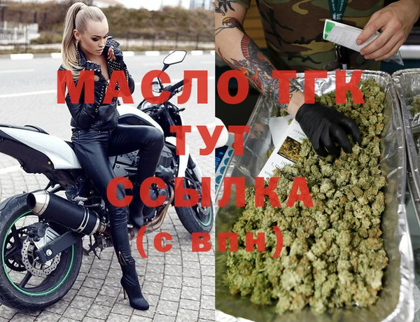 гидра Заводоуковск