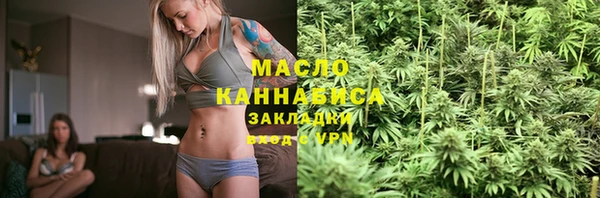 гидра Заводоуковск