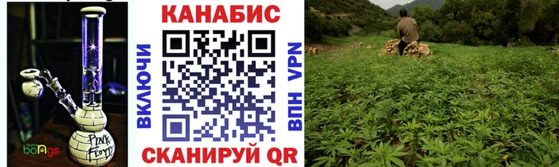 Бошки Шишки планчик Кинешма